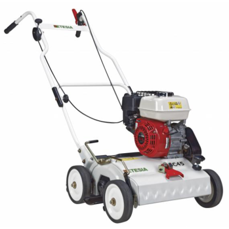 ESCARIFICADOR ETESIA  MSC45
