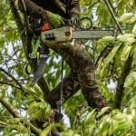 PANTALÓN ANTOCORTE PARA ARBORICULTURA ARBORTEC BREATHEFLEX PRO REALTREE COLOR CAMUFLAJE TALLA L